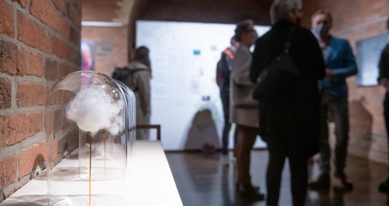 Przynęty i&nbsp;pułapki