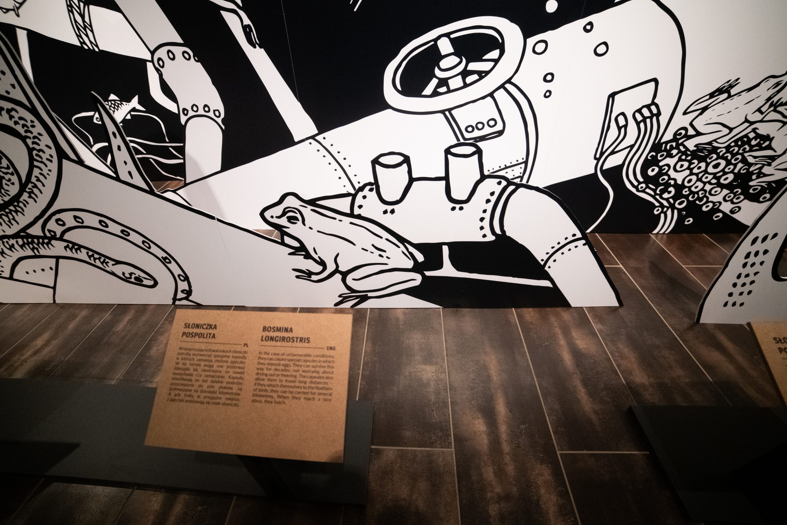 Zdjęcie główne  - Pod wodą – bohaterowie