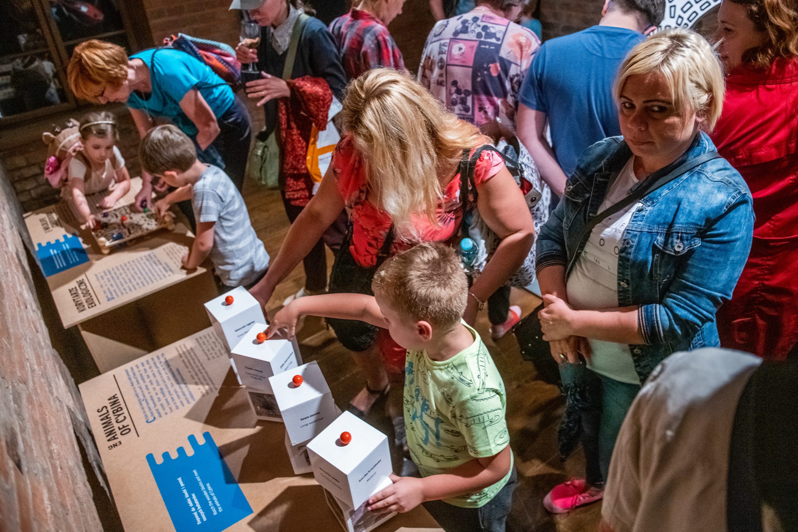 Zdjęcie główne  - Zakończenie